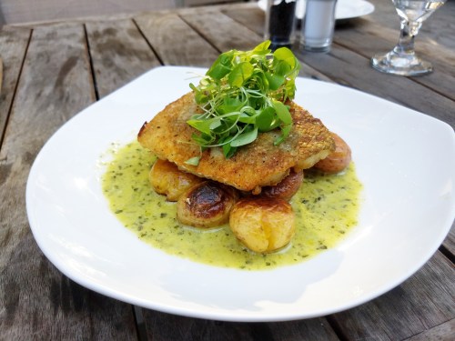 img_20170120_220042_074