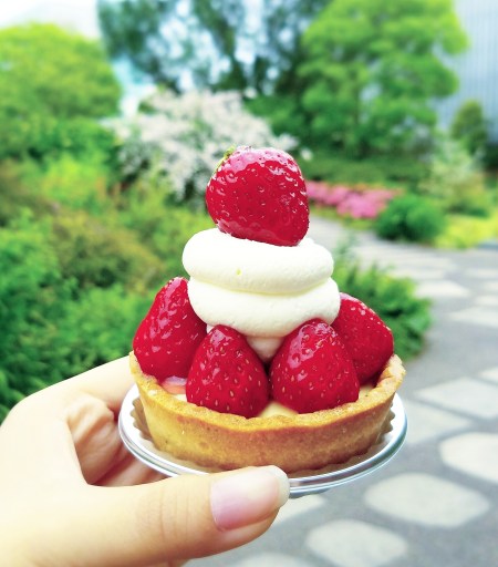 img_20170128_103314_046