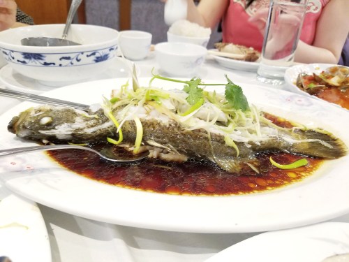 IMG_20170227_133954_076